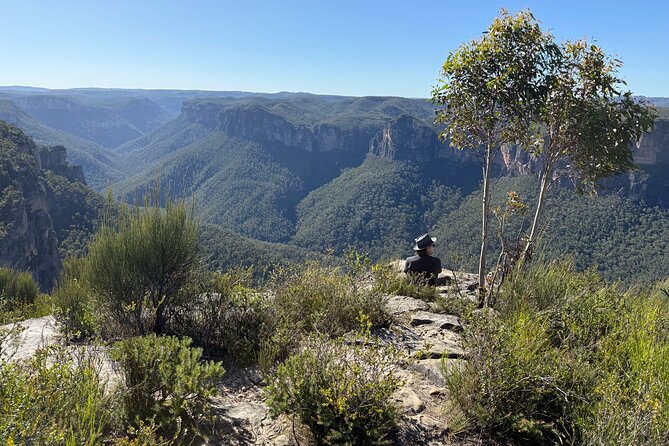 Intimate Blue Mountains Wild Kangaroos & Sunset for Nature Lovers - Value check: how $143.45 stacks up