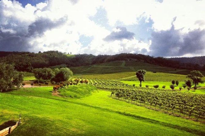 Ivanhoe Wines: Trip Advisor Premium Wine Tasting - Timing tips: how to make sure you taste the full selection