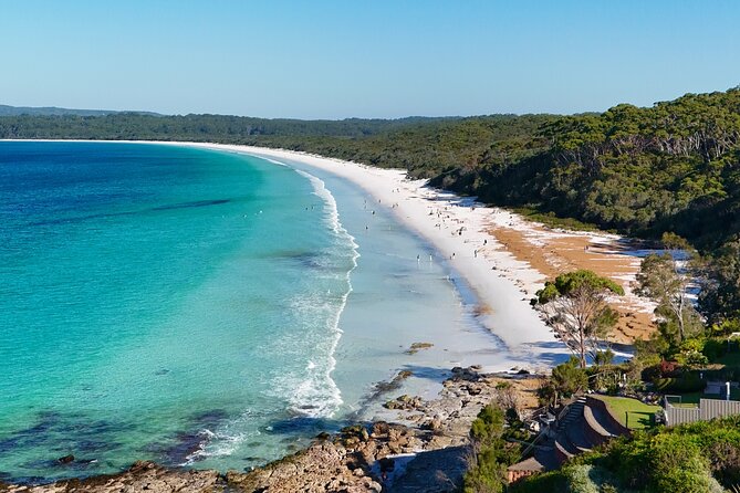 Jervis Bay Highlights Tour – Small Group Experience Scenic Coast - Key things I’d call out before you go