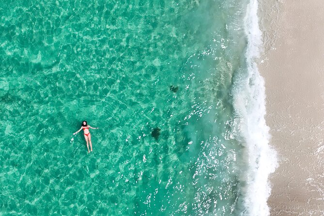Jervis Bay Highlights Tour – Small Group Experience Scenic Coast - Hyams Beach and the white sand factor: where the photos actually shine