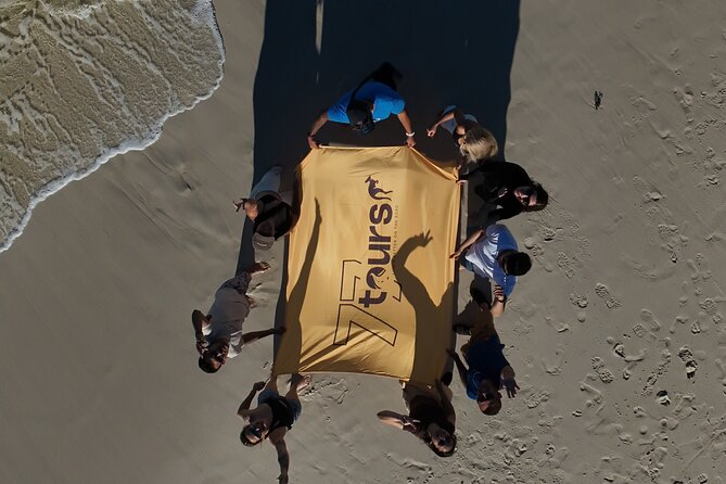 Jervis Bay Highlights Tour – Small Group Experience Scenic Coast - What you’re really paying for: value, small-group comfort, and pro media