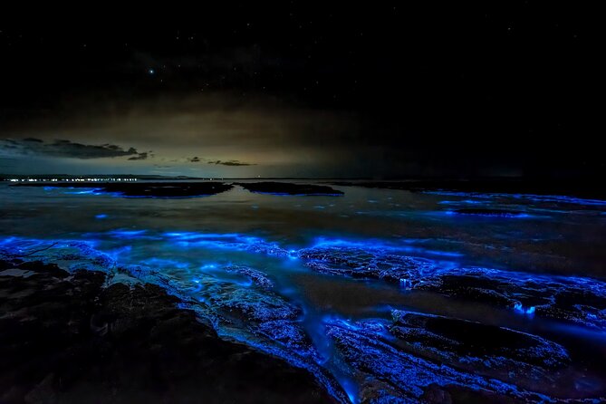 Jervis Bay, Kiama & Kangaroo Valley Day Trip From Sydney-PVT - Who This Day Trip Suits Best