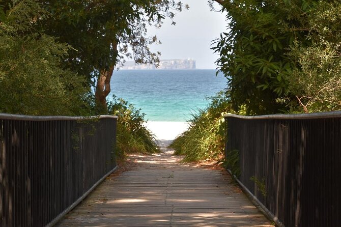 Jervis Bay Tour with Dolphins, Kangaroos & World's Whitest Beach - Royal National Park and the marine education moment