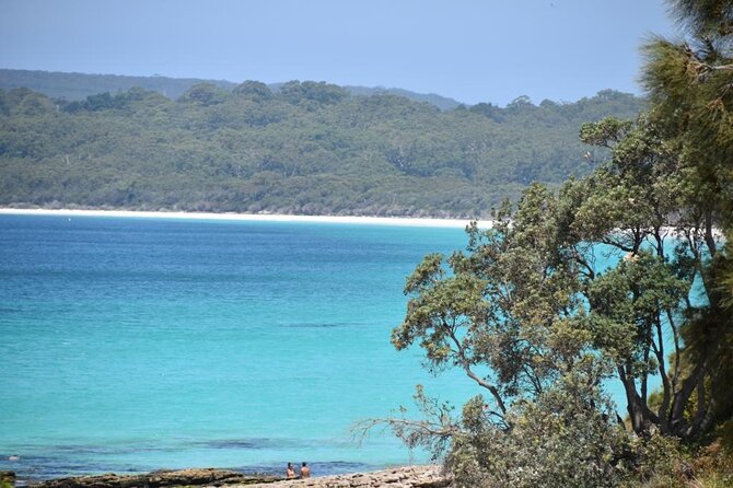 Jervis Bay Tour with Dolphins, Kangaroos & World's Whitest Beach - Huskisson free time: the beach town break you actually need