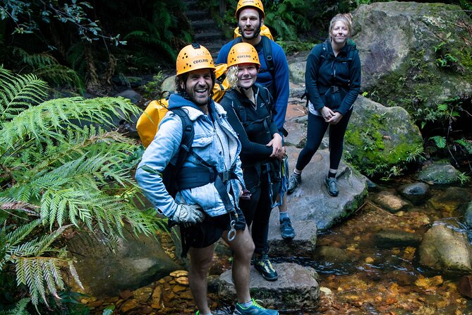 Juggler Canyon and Abseiling Adventure Blue Mountains - Grose Valley and Juggler Canyon: Five Abseils Up to 20 Metres