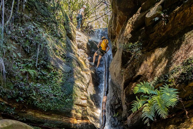 Juggler Canyon and Abseiling Adventure Blue Mountains - What About the Price? $247.45 Feels Fair When You Break It Down