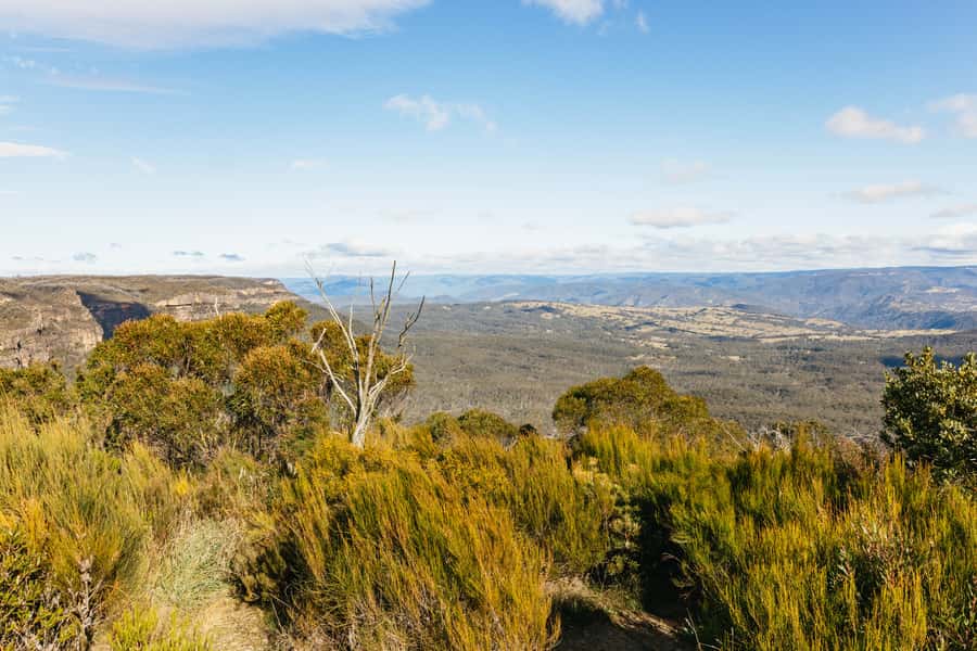 Katoomba: Lyrebird Hop-On Hop-Off and Scenic World Pass - What this pass actually does for your day