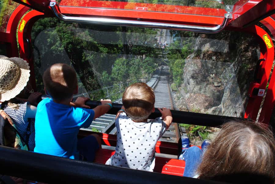 Katoomba: Lyrebird Hop-On Hop-Off and Scenic World Pass - Scenic Walkway: the Jurassic Rainforest stroll