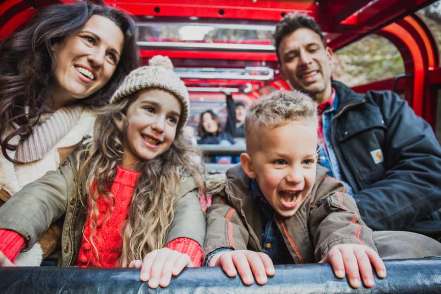 Katoomba: Scenic World 1-Day Unlimited Discovery Pass - Scenic World at Katoomba: what this pass actually buys you