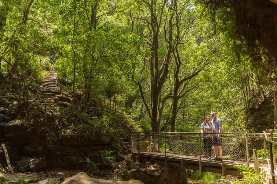 Luxury Blue Mountains Escape The Crowds Tour - Optional Featherdale Wildlife Park for Small Groups