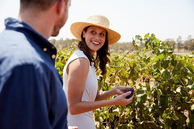 Luxury Hunter Valley Tour: 3 Tastings, Gin, Lunch & Chocolatier - Key Points You’ll Actually Care About