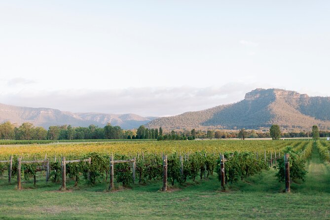 Luxury Hunter Valley Tour: 3 Tastings, Gin, Lunch & Chocolatier - Keith Tulloch Wines: Cafe CouCou Lunch and an Architecturally Calm After-Lunch Tasting
