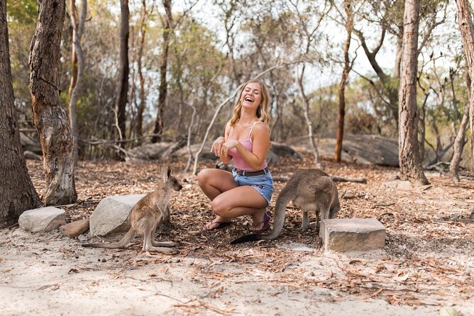 Luxury Hunter Valley Wildlife & Wine Tasting Tour from Sydney - Two boutique vineyard tastings in Pokolbin and Wombat Crossing
