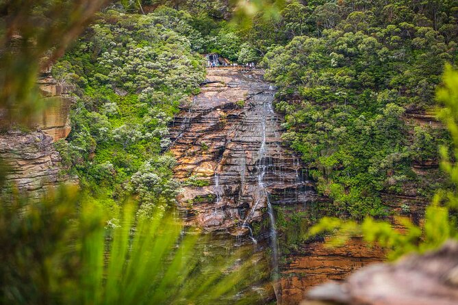 Luxury Small Group of 5 Blue Mountains Escape Tour - Morning in Sydney: getting out to the Blue Mountains in comfort