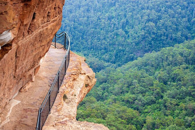 Luxury Small Group of 5 Blue Mountains Escape Tour - Exploring Blue Mountains National Park: multiple perspectives in a single day