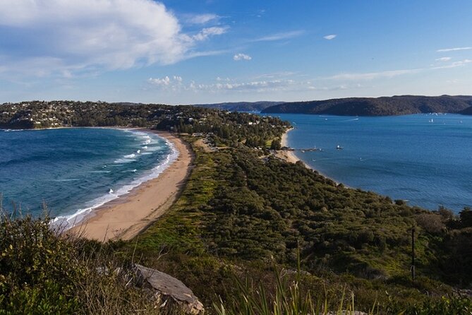 Luxury Sydney Tour - Stop 2: Bondi Beach for 45 minutes, with an easy beach-walk rhythm