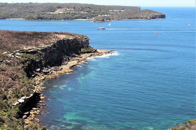 Manly and more private tour - Why This Northern Sydney Route Works in Half a Day