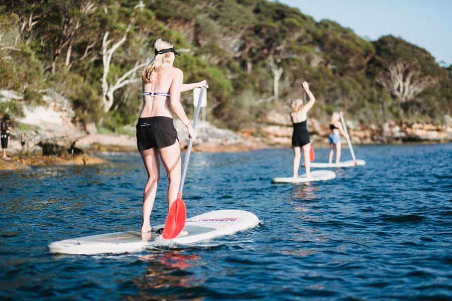 Manly Stand Up Paddle Board Hire - The 2-hour plan: moored yachts to four beach stops