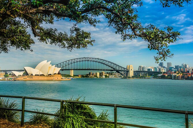 Morning or Afternoon Half-Day Sydney City Sightseeing Tour - Rose Bay, Watsons Bay, and The Gap: Eastern Suburbs views with perspective