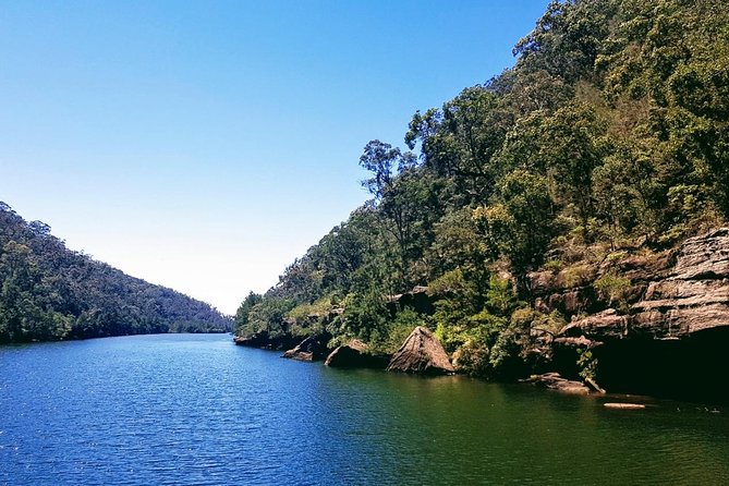 Morning Paddlewheeler Cruise in the Gorge - Getting There: Meeting Point, Mobile Ticket, and Timing