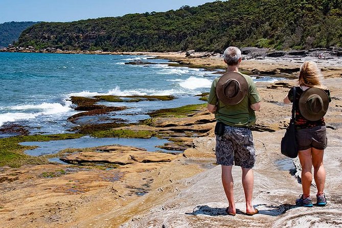 Nature and Wildlife: Australia in One Day - Private Tour - Berowra Valley National Park: bushwalks, Aboriginal carvings, and plants you can actually spot