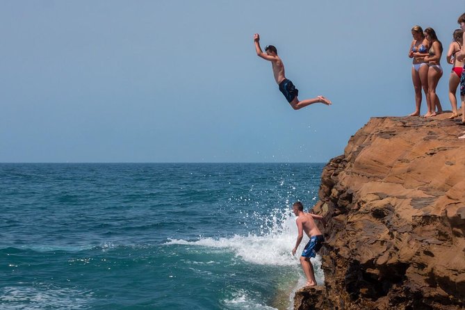 Nature and Wildlife: Australia in One Day - Private Tour - Avoca Beach Point Cafe, chocolate, and Firescreek: food breaks that feel local