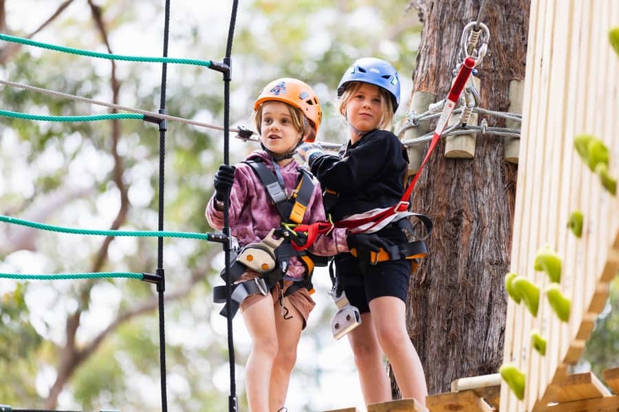 Pennant Hills: Junior Tree Ropes Course - Junior courses for ages 3 to 7: five paths, right-size challenge
