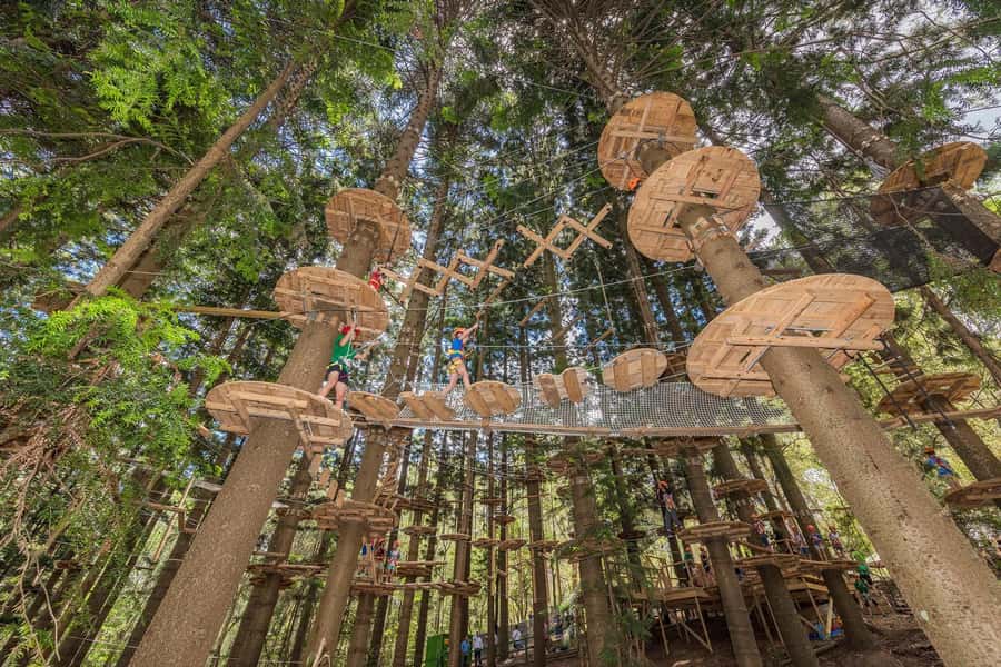 Pennant Hills: Tree Ropes Course Session - Pennant Hills in the Trees: Where This Adventure Lives