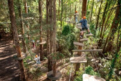 Pennant Hills: Tree Ropes Course Session - What 150 Minutes Really Means: Check-in and Course Time