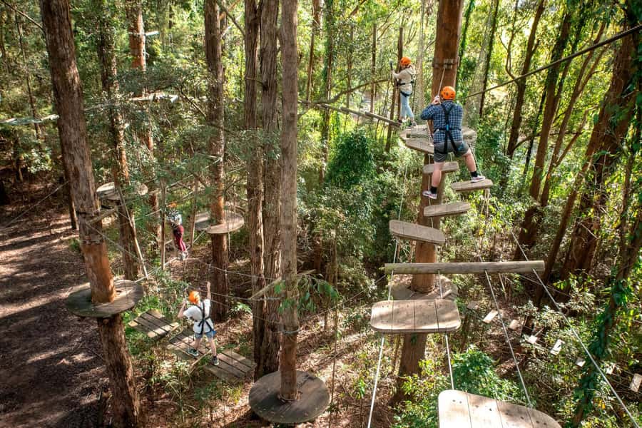 Pennant Hills: Tree Ropes Course Session - What 150 Minutes Really Means: Check-in and Course Time