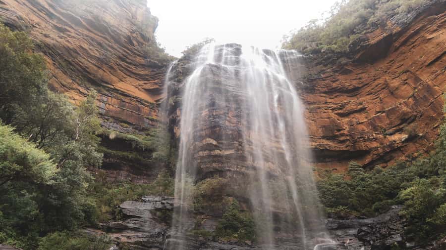 Personalised Blue Mountains Tour: Luxury Vehicles & Insights - How the private setup keeps the Blue Mountains day stress-free