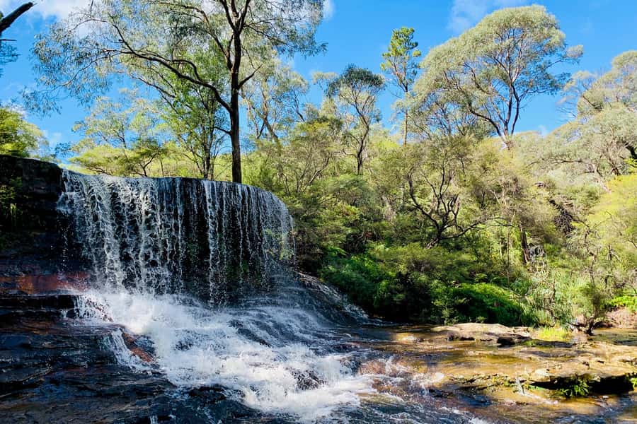 Personalised Blue Mountains Tour: Luxury Vehicles & Insights - Three Sisters and Grose Valley viewpoints at your pace