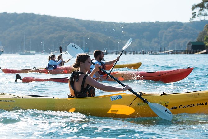Pittwater Discovery Kayaking Tour - Quick highlights you’ll care about