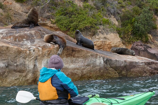 Pittwater Discovery Kayaking Tour - Stop 1: Paddlecraft Kayaks and the Half-Hour Orientation