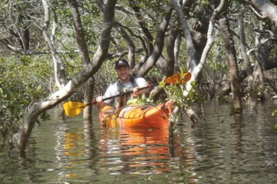 Pittwater Discovery Kayaking Tour - The 4.5 Hours You’ll Actually Be Spending