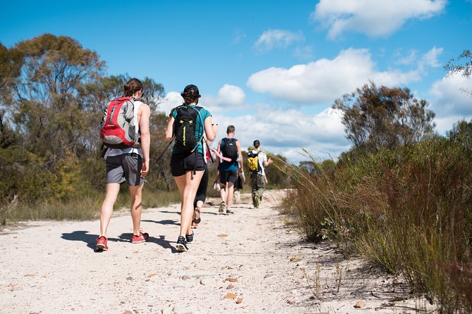 Pittwater Discovery Kayaking Tour - What’s Included: Gear and Food That Make the Day Easier