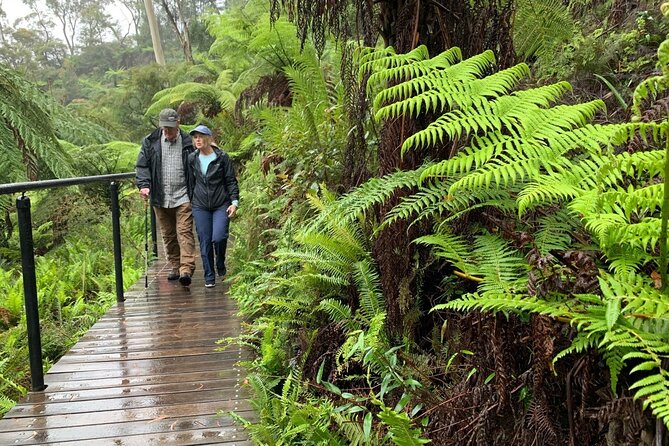PJ Blue Mountains Supreme [Private Charter] - Cahill’s Lookout and Sound of Silence: A Short Pause with Big Atmosphere