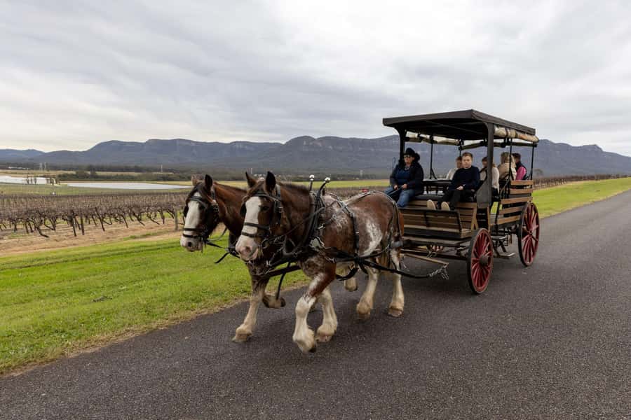 Pokolbin: Harvest the Hunter Horse Drawn Carriage Tour 3hrs - Key highlights I’d prioritize