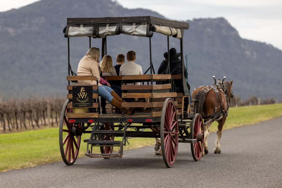 Pokolbin: Harvest the Hunter Horse Drawn Carriage Tour 3hrs - Meeting at Wine House Hunter Valley in Pokolbin