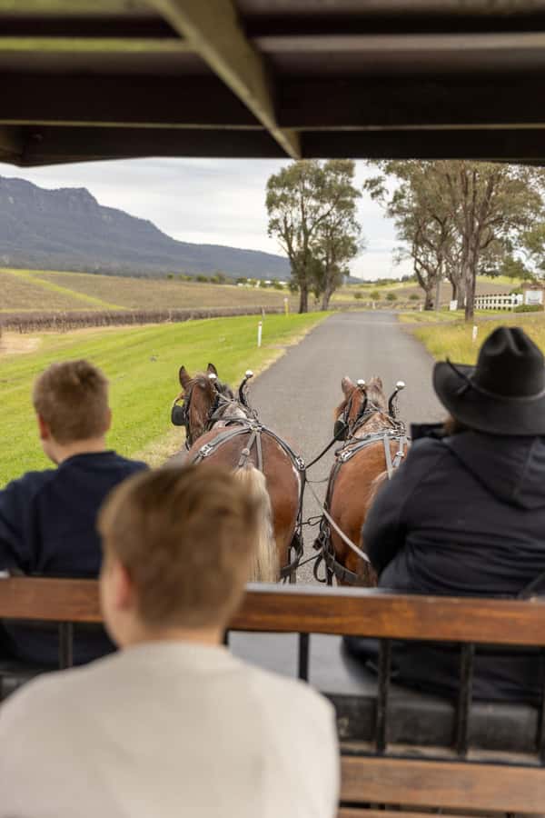 Pokolbin: Harvest the Hunter Horse Drawn Carriage Tour 3hrs - Why a carriage ride feels more Hunter Valley than a quick drive