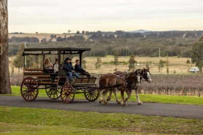 Pokolbin: Harvest the Hunter Horse Drawn Carriage Tour 3hrs - The 3-hour flow: two winery stops, then a cheese-and-chocolate finish