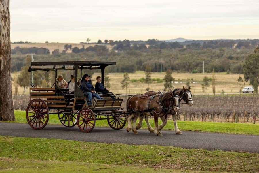 Pokolbin: Harvest the Hunter Horse Drawn Carriage Tour 3hrs - The 3-hour flow: two winery stops, then a cheese-and-chocolate finish