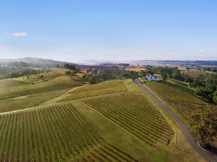 Pokolbin: Picnic & Wine Tasting at Audrey Wilkinson Vineyard - Entering the Audrey Wilkinson cellar door: views first, not wine first