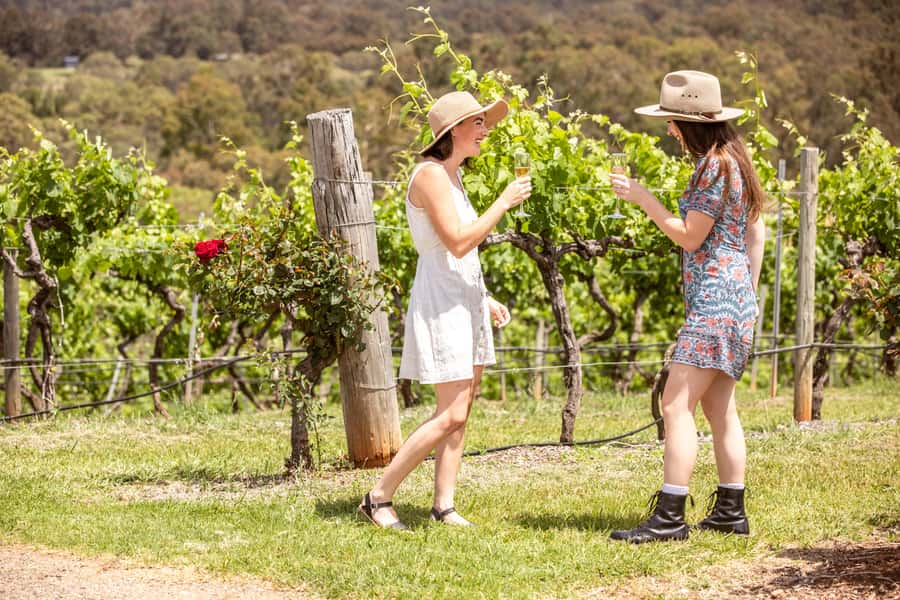 Pokolbin: Picnic & Wine Tasting at Audrey Wilkinson Vineyard - Where the views hit hardest: Hunter Valley and Brokenback Ranges