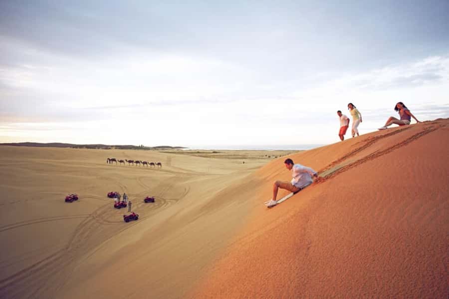 Port Stephens: Dolphin Cruise, Lunch, Koalas & Sandboarding - Why Port Stephens Works So Well as a Day Trip from Sydney