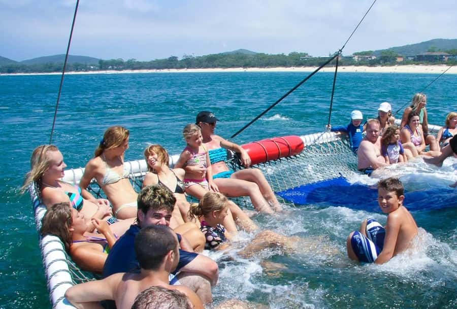 Port Stephens: Dolphin Cruise, Lunch, Koalas & Sandboarding - Port Stephens Koala Sanctuary: More Than a Quick Photo Stop