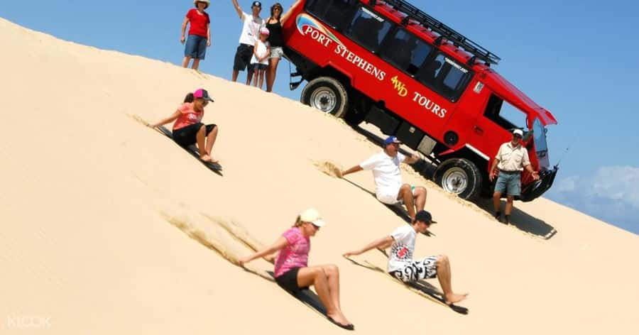 Port Stephens: Dolphin Cruise, Lunch, Koalas & Sandboarding - Value and Who This Tour Is Best For (and Not For)