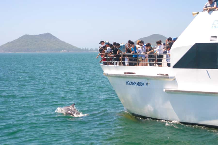 Port Stephens: Dolphin Cruise, Lunch, Koalas & Sandboarding - The 7:00am–10:30am Coach Ride: Get Set for a Big Day