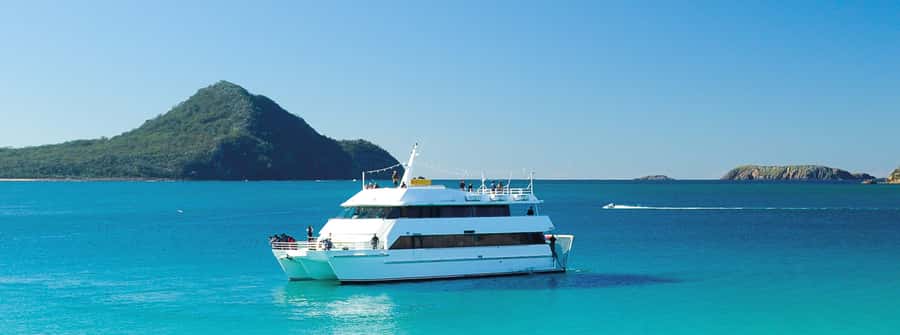 Port Stephens: Dolphin, Lunch, Koalas&Sandboarding -Mandarin - Dolphin Discover Cruise in Nelson Bay: Your Best Wildlife Moment