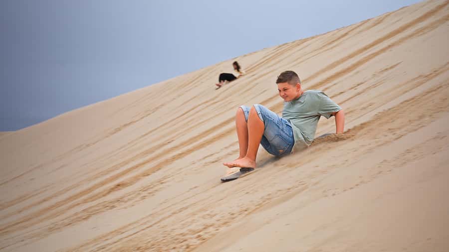 Port Stephens: Dolphin, Lunch, Koalas&Sandboarding -Mandarin - Koala Sanctuary Visit: How to Get the Most From 30 Minutes